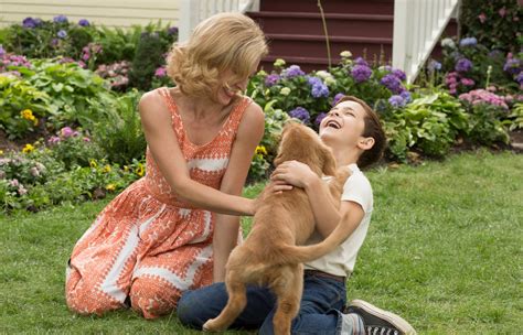 Profissão: Cinéfilo: Quatro Vidas de um Cachorro