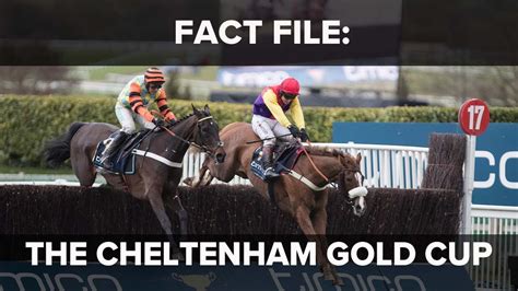 Fact File: Cheltenham Festival Gold Cup