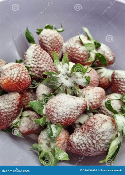 Strawberries Topped with Baking Soda. Strawberries in a Bowl. Healthy ...