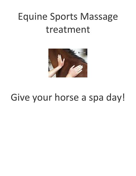 EQUINE MASSAGE WITH SARAH CLIFFORD | CAMMPAIGN4ROB