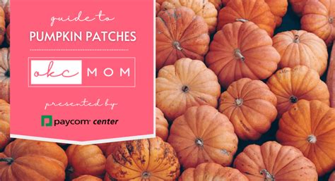 favorite pumpkin patches   okc