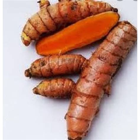 jual kunyitkunir segar biasagkunyit murahkunyit fresh segar