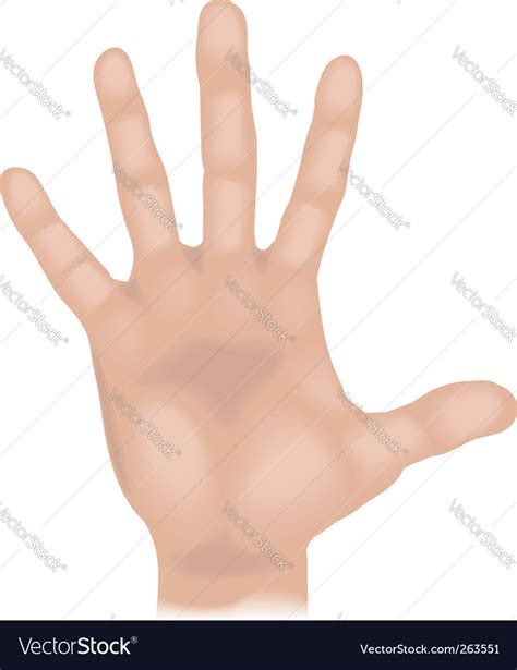 hand royalty  vector image vectorstock