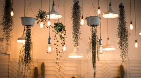 9 Creative Vine Room Decor Ideas, Bring Life into Your Interior Design