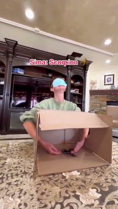 What’s in the box prank 😂🐍 - YouTube