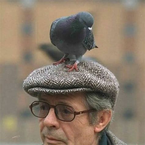 Weird Hats (25 pics)