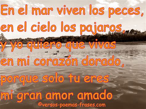 VERSOS Y POEMAS DE AMOR.: POEMAS CORTOS DE AMOR 69.