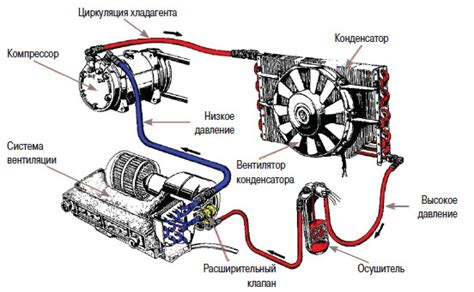 Неисправности автокондиционеров: быстрый уход фреона, поломки ...