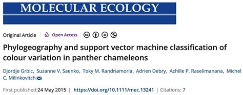 Ep 145: The Panther Chameleon Species With Dr. Mark Scherz – Chameleon ...