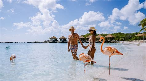 Aruba Holidays 2023/2024 from £1,050 | loveholidays