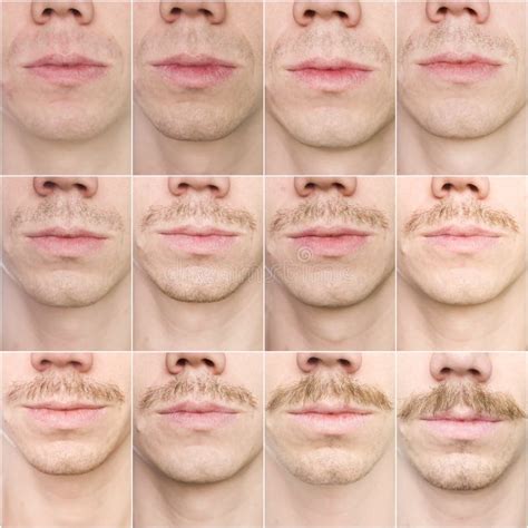 Mustache growing stock image. Image of close, scene, clean - 12631985