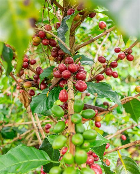 Yourdelight2001 Nude