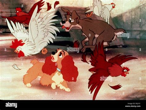 Tramp lady tramp 1955 hi-res stock photography and images - Alamy