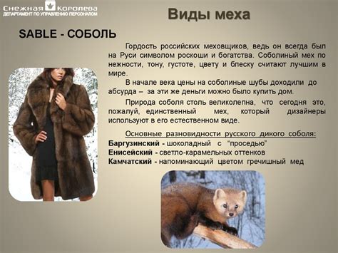Обучающий материал по направлению "Изделия из меха" - презентация онлайн