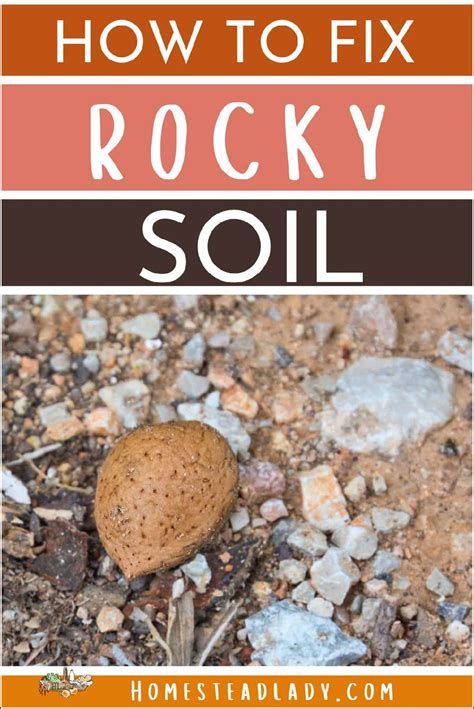 How to Fix Rocky Soil with Permaculture • Homestead Lady