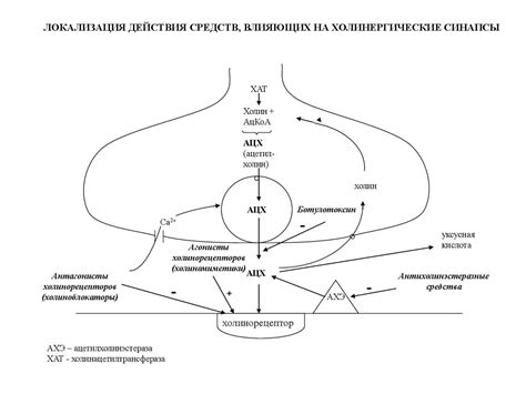 Нейротропные средства - презентация онлайн