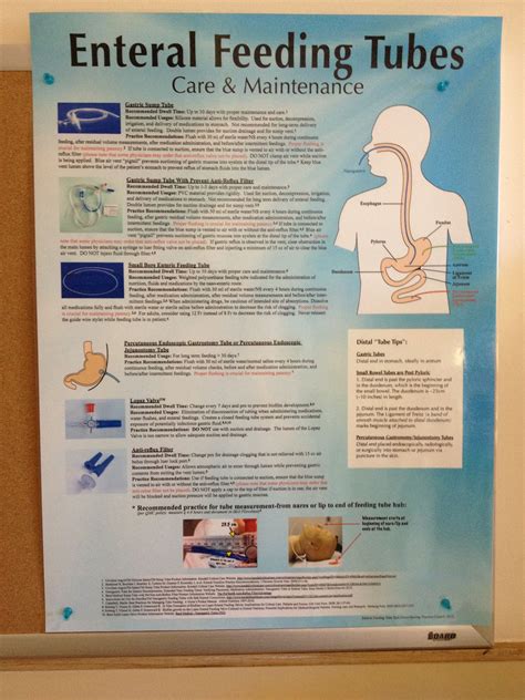 Parenteral Vs Enteral Feeding 10