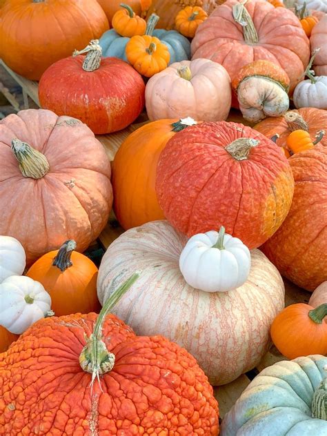 jack  lanterns  haiku  kris bedenian   notes medium