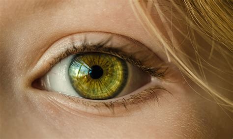 improve eye health  indigo sun