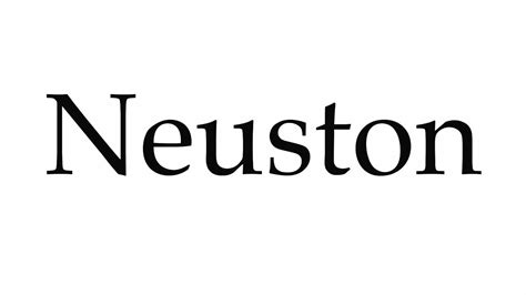 pronounce neuston youtube