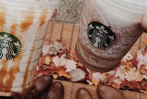 ultimate guide  starbucks top  seasonal drinks brit