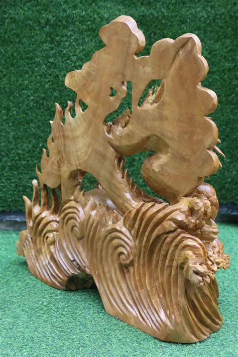 rong phun nuoc  xa xi