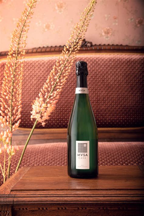 MVSA Cava – Brut - MVSA Cava