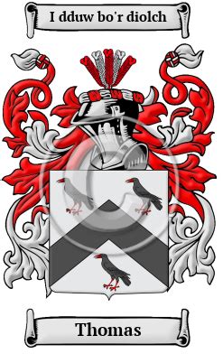 thomas  meaning family history family crest coats  arms