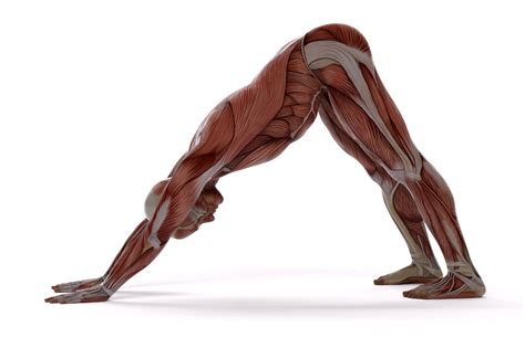 daily stretches   rid  body aches