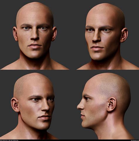 Male Head: Anatomy Study | Image 4 | Anatomy, Male face, Anatomy for ...