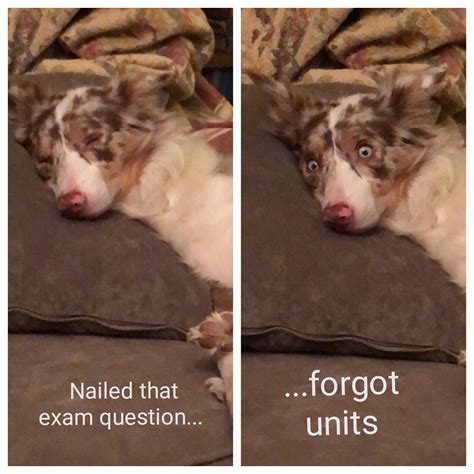 More effective than any alarm : r/physicsmemes