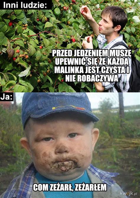 Malinki - Ministerstwo śmiesznych obrazków - KWEJK.pl