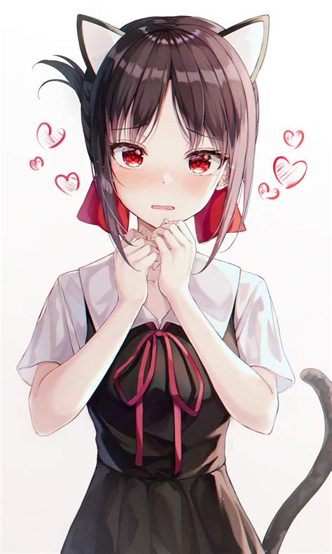 Neko Kaguya : r/Kaguya_sama