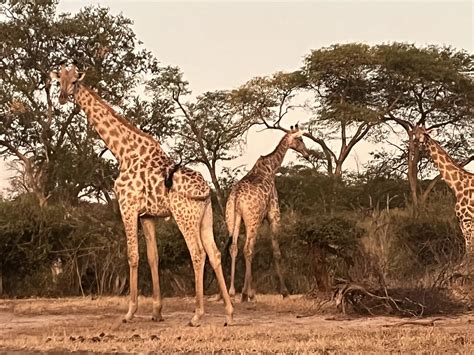 Wildlife Report: Winter 2023 (May – July)