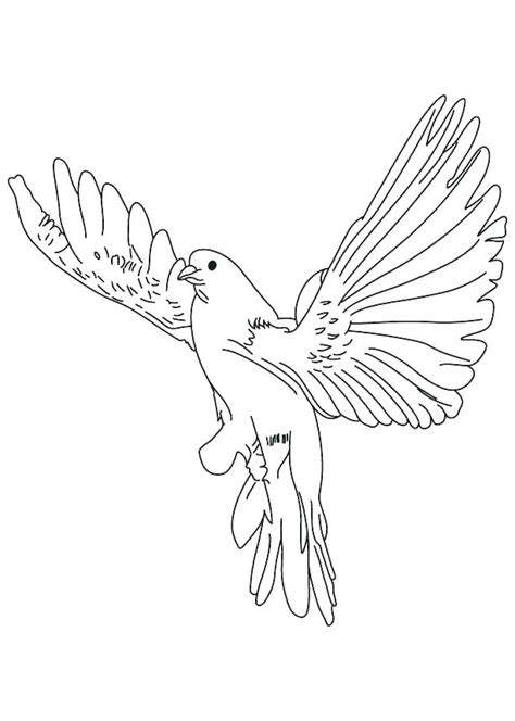 Dove Coloring Page at GetColorings.com | Free printable colorings pages ...