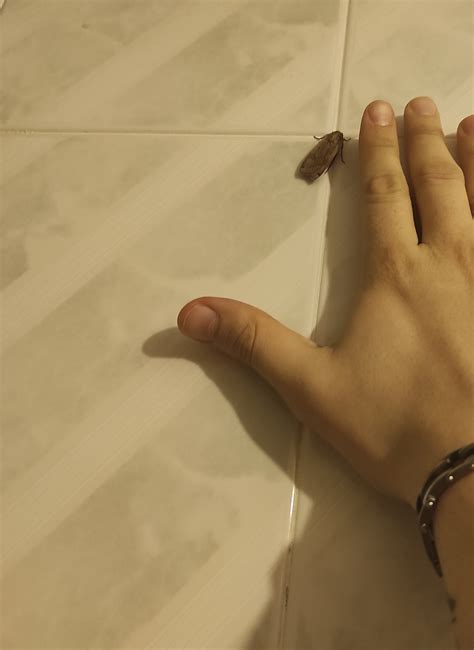 Hata Yapmaktan Korkan Insan Hiçbir şey Yapamaz 6