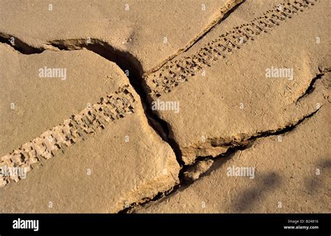 Bike trace tyre tire Stock Photo - Alamy