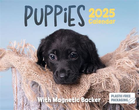 puppies mini boxed calendar plastic  packaging calendars carousel