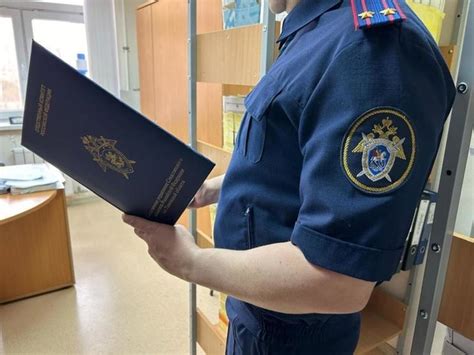 - В Тюменской области водитель совершил наезд на представителя власти ...