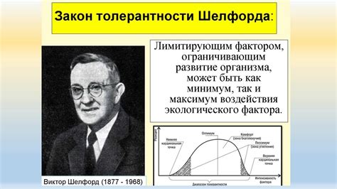урок 2 Интенсивность действия факторов - YouTube