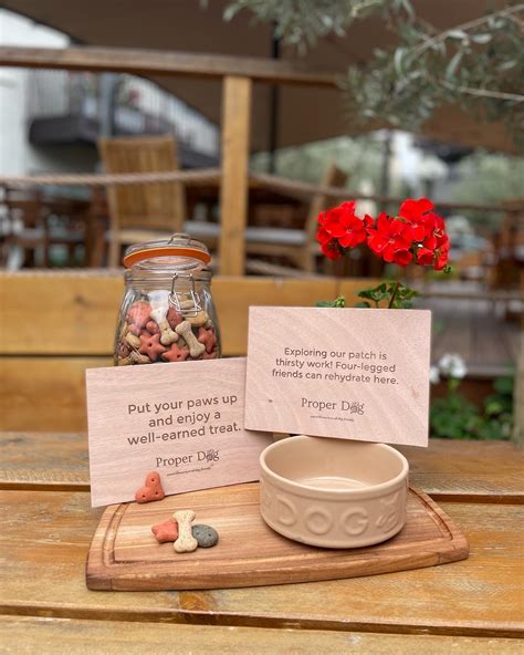 The Globe, Topsham - We love dogs here at The Globe with dog friendly