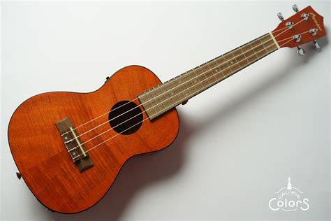 bamboo exotic mahogany concert ukulele weq  store