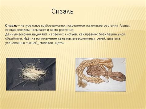 Презентация - Растительные волокна