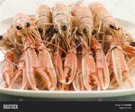 Platter Langouste Image & Photo (Free Trial) | Bigstock