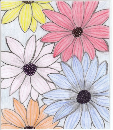 Drawings of Flowers
