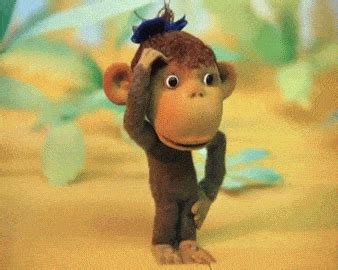 Тридцать восемь попугаев - 38 попугаев animated gif