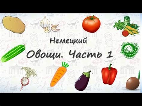 Овощи на немецком. Часть 1 - YouTube