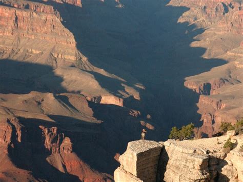 Grand canyon view. | Smithsonian Photo Contest | Smithsonian Magazine