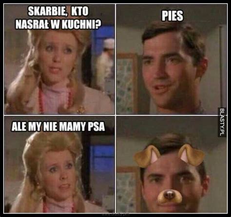 Skarbie kto nasrał w kuchni? Pies memy, gify i śmieszne obrazki ...
