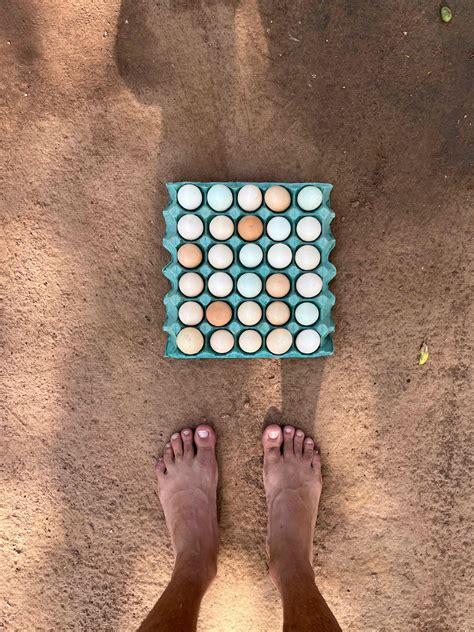 Trans Feet Photos, Download The BEST Free Trans Feet Stock Photos & HD